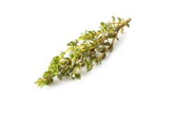 Lemon Thyme